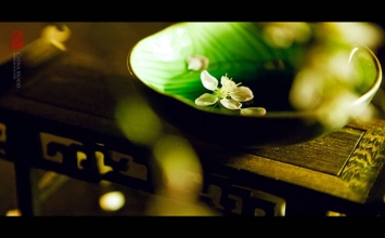 Hiểu biết cuộc đời